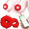Generico Morsetti vibranti per capezzoli, vibratori per capezzoli, sex toy con 9 modalità di vibrazione, massaggiatore portatile ricaricabile in silicone per stimolare i capezzoli