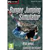 UIG Entertainment Bungee Simulator