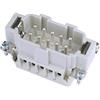 STEINIGKE Ilme 30350700 Inserto a Spina 10-Pol 16A, Morsetti a Vite, Bianco
