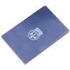 Pavan SPATOLA LAMA BLU539 SPESSORE mm0,3 - mm.180