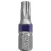 WOLFPACK Punte Cacciavite Torx 27 Inviolabile (2 pezzi). Acciaio S2 al cromo vanadio. Punte esagonali, punte,