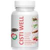 Hyper Integratore Cistite Cisti Well | Contrasta Infiammazioni e Infezioni delle Vie Urinarie | con Mirtillo Rosso, Cranberry, Uva Ursina e Fillanto. 60 Compresse Made in Italy
