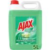 AJAX Detergente Multiuso citrof Risch, 1er Pack (1 X 5 L)