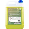 SOLEPLASTIC Detersivo Al Lime E Zenzero 5 Litri Deterisvo Piatti Sgrassante (1)