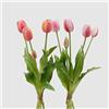 EDG Enzo de Gasperi Tulipano gommoso Fiore Artificiale per Decorazione da Esterno, Bouquet 5 Tulipani Finti 2 Varianti Fucsia/Bianco