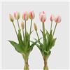 EDG Enzo de Gasperi Tulipano gommoso Fiore Artificiale per Decorazione da Esterno, Bouquet 5 Tulipani Finti 2 Varianti Bianco/Fucsia