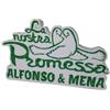 Generico SCULTURA PROMESSA NOZZE MATRIMONIO COLOMBE CENTROTAVOLA SCRITTA DA PERSONALIZZARE CON 2 NOMI POLISTIROLO 43 x 27 x 5 cm. VERDE RD