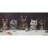 KNOBCO Famosi Poster di Louis Wain I Dipinti di Tela di Gatto Arte murale Astratta Louis Wain Stampe Louis Wain Immagini per l'arredamento del Soggiorno 40x120cmx1 Nessuna Cornice