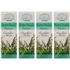 FEI FAN Essenze Aromatiche per Caloriferi e Umidificatori, Anche a Ultrasuoni, Disponibile in Varie Profumazioni, 100ml (4 unità, Eucalipto Menta)
