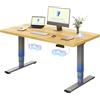 FLEXISPOT Scrivania Regolabile in Altezza Elettrica 140×80 cm con Doppio Motore, Piano Unico da 25 mm, Gambe Telescopiche a 3 Sezioni EC5 LITE