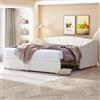 Dolamaní Divano Letto 90/180x200 cm per Adulti 2 Persone, Estraibile Stessa Altezza, Allungabile per Matrimoniale, Multifunzione in Tessuto di Velluto Delicato sulla Pelle
