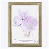 Online-GalleryKing Cornice Foto 34 x 23 cm Cornice per Poster Puzzle Collage di Foto Colore Argento Foglia in Vetro antiriflesso e Cornice in MDF da 35 mm