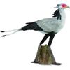 Collecta 88796 (90188796) animale giocattolo, uccello da collezione