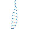 LRXIYODE Set Componenti Struttura a Doppia Spirale del Dna per Insegnamento Biologico Scuola Studenti