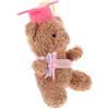 VALICLUD Orsetto Di Laurea Peluche Con Cappello Da Dottore Di Laurea Unico e Decorazione Souvenir Adorabile Per Festeggiare Successo Accademico