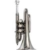 Principianti Mini Pocket Trumpet Tromba Tascabile In Si Bemolle Argentata Sib Cornetta A Fiato In Ottone Nichelato Misura Palmo Argentato Tromba tascabile