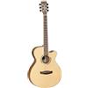 Tanglewood Chitarra acustica Tanglewood Discovery Exotic DBT-SFCE-OV