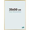 yd. Your Decoration - Cornice 35x50 cm - Oro - Cornice Decorativa Parete in Plastica con Vetro in acryl - Antiriflesso - 35x50 Cornice - Evry