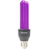 Beamz Lampadina Luce Nera