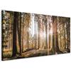 murando - Quadro Bosco 200x80 cm 5 Pezzi - Stampa su Tela - Quadri Componibili Moderni Grandi Soggiorno - Pannelli Decorativi per Pareti Decorazioni da Parete - Foresta Natura Albero c-C-0177-b-p