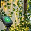 Aigostar Luci Solari da Giardino, 10M+2M Catena Luminosa Solare con 100 LED Edera Artificiale, IP65 Luci da Esterno per Balcone, Pareti, Terrazzo e Gazebo, 8 Modalità