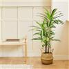 BLAINE | Dracena Variegata 120cm | Piante Artificiali Decorative | Pianta Artificiale Grande | Piante Artificiali per Interni/Esterni | Pianta Artificiale Realistica Decorativa per la Casa