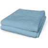 BANZAII TEXTILE INNOVATOR ONLINE Banzaii 2 Salviette in Morbida Spugna 60 x 40 cm, 100% Cotone di Alta Qualità, Trattamento Super Assorbenza - Acquamarina