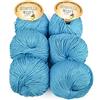 woolove Tricot Cafè Set 6 Scintilla - Filato in Puro Cotone Supermercerizzatoe Antipilling - per Maglieria e Uncinetto - Ferri/Uncinetto 3.50/4.50 mm - 6 Gomitoli da 50g (113m) - Turchese 15, 6 Pezzi