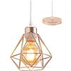 TOKIUS Lampada da Soffitto E27 Vintage Plafoniera Soffitto Industriale Metallo Gabbia ferro Lampada a Sospensione per Corridoio Camera da Letto Soggiorno,Rame (L-1)