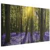 murando Quadro Foresta Bosco 135x90 cm 3 pezzi Stampa su tela XXL Immagini moderni Murale Fotografia Grafica Decorazione da parete violett Fiori Natura verde c-B-0367-b-e