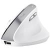 Trust Bayo II - Mouse ergonomico Senza Fili, Colore: Bianco