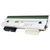 FHIEORY A4431 testina di stampa PrintHead per stampante termica per etichette Avery Dennision AP4.4 AP5.4 300dpi