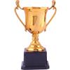 Fiorky Coppa trofeo Gold Award per vincitore del primo posto Coppa trofeo d'oro Altezza 17,5/22 cm Pallacanestro Calcio con Manico e Base Competizione Sportiva per Divertimento Festa per bambini
