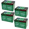 ANFEL 4 X Batteria 12 Volt 14 ah Ricaricabile per Uso CICLICO 6DZM per Bici Elettriche monopattini sollevatori carrozzine Scooter Alta RESA Rinforzata