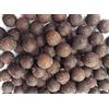 generico BOILIES BOILE SPEZIE Indiane BOILES CARPFISHING DIAM 20 Pesca Carpa PASTURA Esca INNESCO Aroma