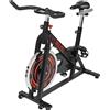 GORILLA SPORTS® Cyclette - Resistenza Regolabile, Sella e Manubrio Regolabili in Altezza, Volano 13 kg, Carico Massimo 110 kg - Bici da Fitness, Bicicletta da Casa, Palestra, Cardio, Allenamento