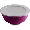 OMADA Insalatiera Antibatterica da 3,5L con Coperchio, in Plastica Colorata | Contenitore Frigo Rotondo in Polipropilene 26,5x H12 cm, con Protezione Antibatterica, Collezione Sanaliving