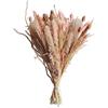 GLOBALHUT Fiori secchi, 1 mazzo di fiori secchi fiori secchi bouquet di fiori luminosi, per la decorazione della casa autunnale decorazione per ghirlande e decorazioni per torte (B)