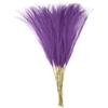 QUARKZMAN 25pz Erba di Pampa Finta 53cm Artificiale Finto Erba Pampa Decorativo per Riempitivo Vaso Pavimento, Decorazione Matrimonio, Decorazione Casa, Viola Scuro