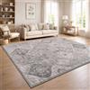 Paco Home Tappeto Soggiorno Vintage Pelo Corto Stile Boho Lavabile Antiscivolo Facile Da Pulire Design Retro Moderno, Colore:Gray 1, Dimensione:160x220 cm