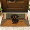 Generic Zerbino con cane bassotto, tappetino per ingresso per esterni e interni, decorazione con animali carini, tappetino antiscivolo per la casa, facile da pulire, 73 x 43 cm