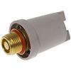 Generico Tappo Ferro da Stiro Grigio Acciaio Inossidabile adatto per Delonghi Stirella PRO1420 PRO1475 VVX1440 VVX1470