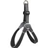 Coralpina Pettorine per cani e cuccioli, design italiano e qualità, in morbido Airmesh (M, nero)