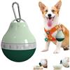 zazoot Borraccia da viaggio per cani, ciotola staccabile a prova di perdite, portatile, corpo in silicone pieghevole, adatta per piccoli animali domestici