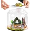 Generico Acquario per tartarughe trasparente con coperchio | Recinto per terrario con copertura rimovibile per la maggior parte delle tartarughe acquatiche
