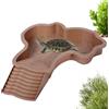 Generico Vaschetta Vasca per Tartarughe di Terra con Rampa‌,Vasca Piscina Vaschetta da Bagno per Tartarughe d'acqua,Laghetto Terrario Giochi Ciotola Tartarughe Acqua Terra e Rettili‌,Anfibi‌,35x28.5x4.3cm (B)
