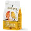 Brit Padovan Wellness Mix per Canarini - 1000 gr