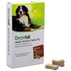 Generico CentroVete Vermifugo antiparassitario Multi Aroma XL per Cane in compressa (8 CPR) - combatte i Principali parassiti intestinali