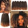 N/K 6 extension crochet di capelli sintetici, da donna, in stile afro, ciocche di capelli ricci sfumati, 30,5 cm (stile T27)
