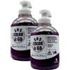 FEI FAN 2x Maschera Colorante VIOLA. Nutre, Intensifica e Tonalizza i Capelli Naturali, Colorati o Con Mèches 300ml